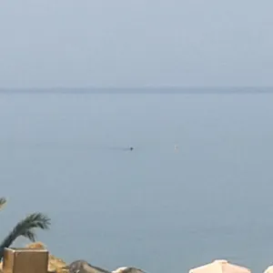 Apartment Seaside, Paralia Dionisiou